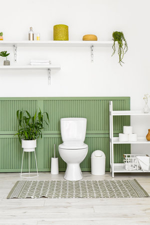 Interior of modern restroom with toilet bowl, houseplant and shelving units near wallの写真素材