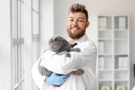 Veterinarian with Scottish fold cat in clinic