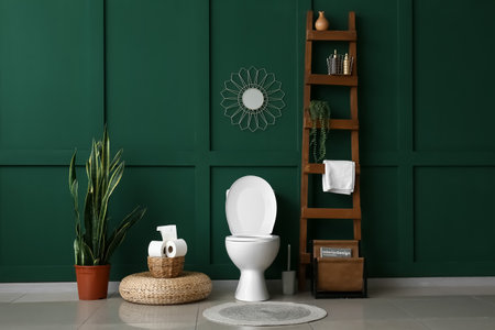 Interior of restroom with toilet bowl, ladder and green wallの写真素材