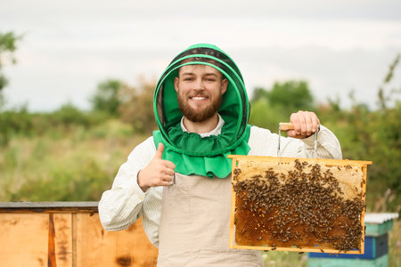 Happy beekeeper working at his apiaryの写真素材
