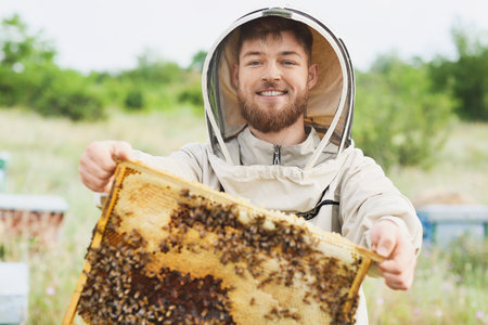 Beekeeper with honey frame at apiaryの写真素材
