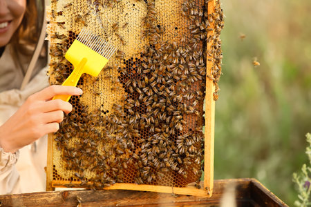 Female beekeeper working at apiary, closeup