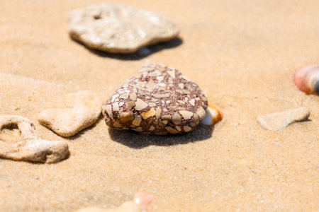 Beautiful stone on sand