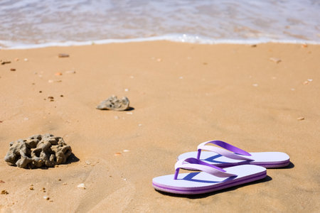 Lilac flip flops on seashore, closeupの写真素材
