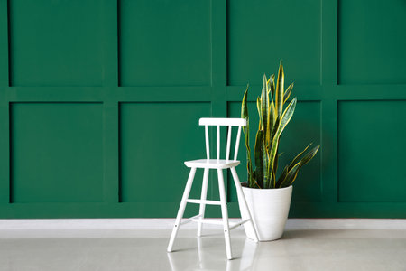 Chair and houseplant near green wall