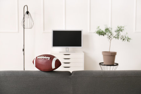 Rugby ball on sofa in stylish living roomの写真素材