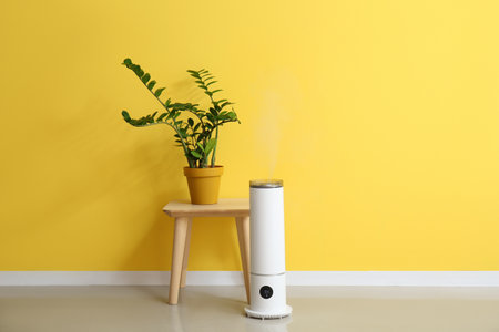 Modern humidifier and table with houseplant near color wall