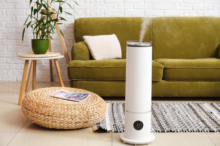 Modern humidifier in living room