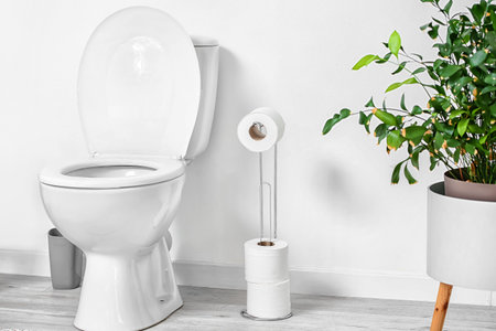 Interior of modern restroom with toilet bowl