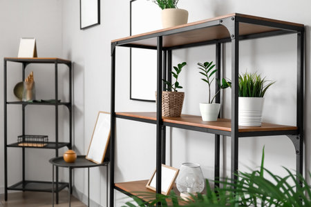 Shelf unit with houseplants near light wall, closeupの写真素材