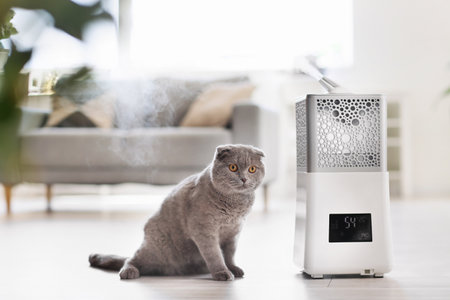 Cute cat in room with modern humidifierの写真素材