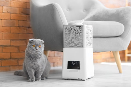 Cute cat in room with modern humidifierの写真素材