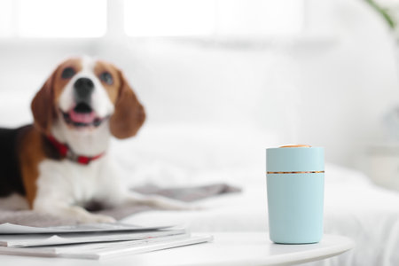 Modern humidifier on table in roomの写真素材