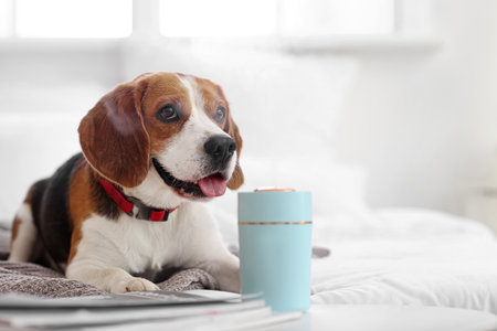 Cute dog in room with modern humidifierの写真素材