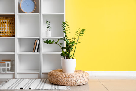 Houseplant, rattan pouf and shelving unit with decor near yellow wallの写真素材