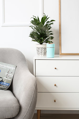 Modern humidifier and houseplant on chest of drawers in roomの写真素材