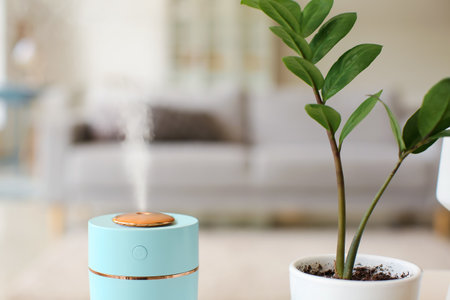 Modern humidifier and houseplant in living room, closeupの写真素材