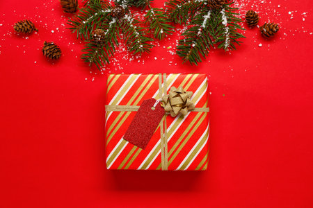 Composition with Christmas gift, fir branches and cones on red background