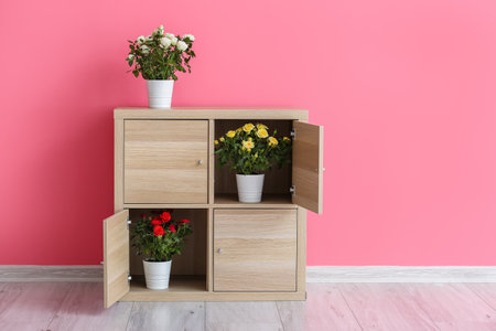 Chest of drawers with roses in pots near color wallの写真素材