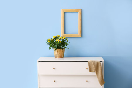 Beautiful yellow roses in pot on chest of drawers near color wall