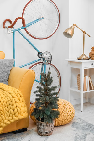Bicycle and small Christmas tree in living roomの写真素材