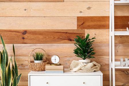 Alarm clock with decor and houseplants on chest of drawers in roomの写真素材