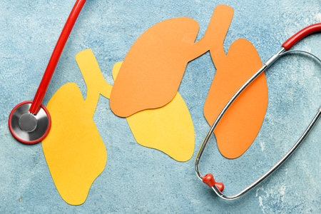 Paper lungs with stethoscope on grunge backgroundの写真素材