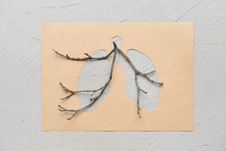 Paper lungs with tree branches on light backgroundの写真素材