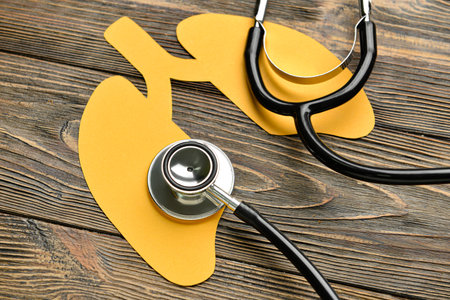 Yellow paper lungs with stethoscope on dark wooden background, closeupの写真素材