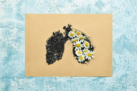 Paper with lungs made of coal and chamomile flowers on grunge backgroundの写真素材