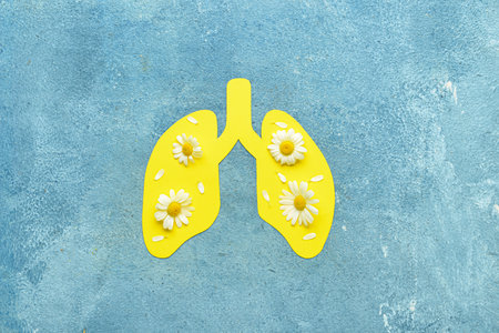 Yellow paper lungs with chamomile flowers on grunge backgroundの写真素材
