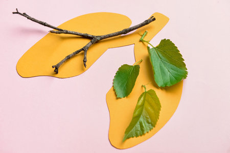 Yellow paper lungs with tree branch and leaves on pink backgroundの写真素材