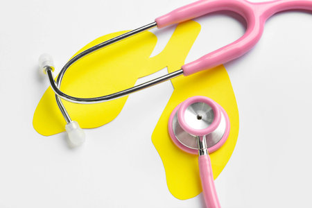 Yellow paper lungs with stethoscope on white backgroundの写真素材