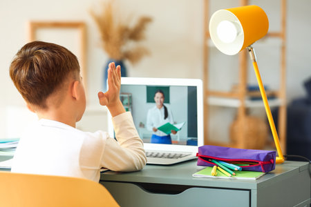Little schoolboy studying online at home