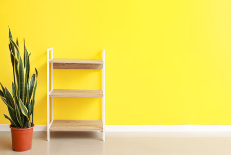 Empty shelving unit with houseplant near yellow wallの写真素材