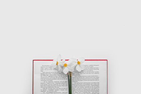 Beautiful daffodils and book on white backgroundの写真素材
