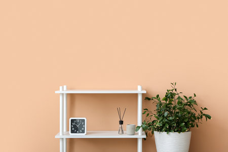 Modern TV stand with decor and houseplant near color wallの写真素材