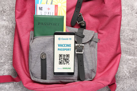 Electronic immune passport on screen of mobile phone and ticket with packed bag on gray backgroundの写真素材