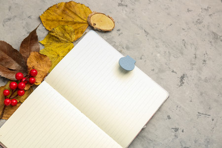 Composition with blank open notebook, autumn leaves, berries and cinnamon on grunge background