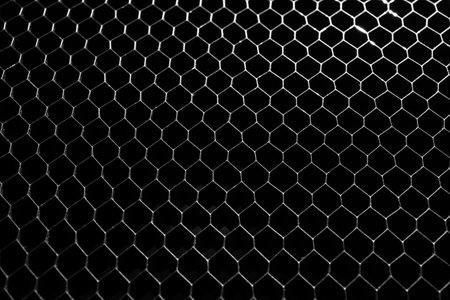 Texture of black grille as background