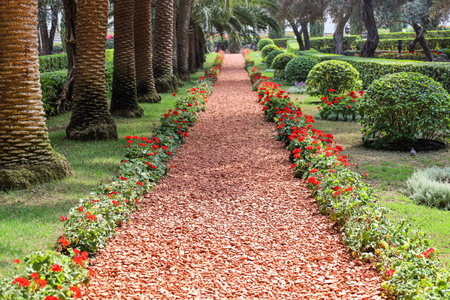 Pathway in park with blooming flowers and treesの写真素材