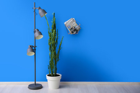 Green cactus, floor lamp and magazines near blue wall in roomの写真素材