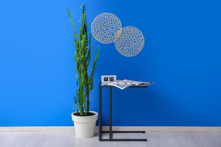 Cactus, table with alarm clock and opened magazine near blue wall in roomの写真素材