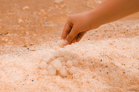 Little girl with rocks of Dead Sea salt, closeupの写真素材
