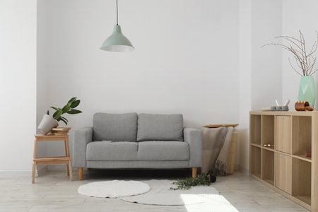 Interior of messy living room with gray sofa and fallen houseplantsの写真素材