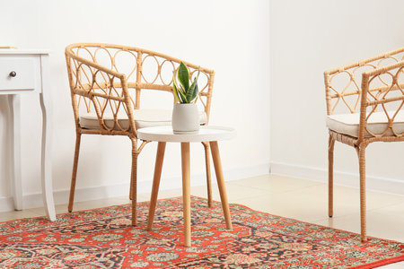 Houseplant on table and comfortable chairs near white wall in roomの写真素材