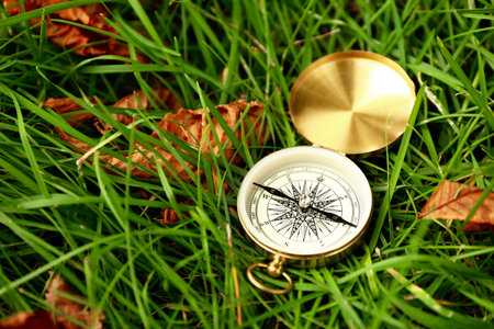 Golden compass and fallen leaves on green grass