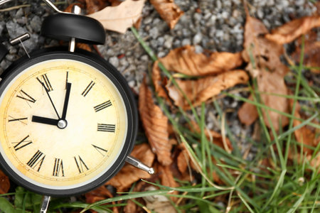 Vintage alarm clock with fallen leaves and green grass on rocks