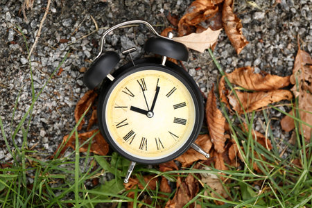 Vintage alarm clock with fallen leaves and green grass on rocksの写真素材