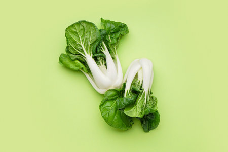 Fresh pak choi cabbage on green backgroundの写真素材